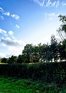 2019-11-29/80389cd533ef2fa4077f2513f8cbff95_f592a97ea6fc18c7b0803ee8502cc1a9