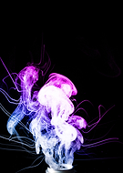 2019-11-30/91343a474522befecbaadffdc150b8e5_944fcb63667600e0a9a00fe72b1be66f