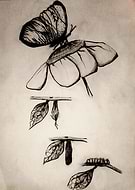 2019-12-04/fcbc6892427beb9efa44d06a3d465bf0_26e8b43a2a90e62fc4b4987e2cdecd50