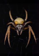 2019-12-08/53d67df9f59ebe5db4abf6859ab5b96e_680797b7b288263990749722b4bd86d1