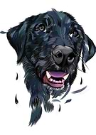 2019-12-08/f998bde30ace9944476490423e071690_5acb2bba8685dba906284210bc256a53