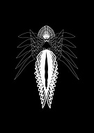 2019-12-10/bf5b7500eb0a9eeda7c2fa51959658c2_f9df23b6b1b22b8677bd74c40ca33d4d