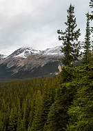 2019-12-11/1a97e264b6504e89710ced09b3c81ca1_8cc07ec0b9a26164cb3c1e665bc81f10