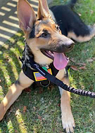 2019-12-13/09d714c58f7f122b619b2eda69167119_01a41338cfcfe95efc48dcc0d4b6880e