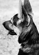 2019-12-13/68c34eed2b49b7d69a29d407d6e29d68_897d0a22b609356cb6969b80e9631d9a