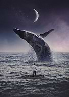 2019-12-19/bba3227236ed83ca7ed25f0ee5173fa0_c8d0c3b9af3e94cb359e90ac60c7a12a