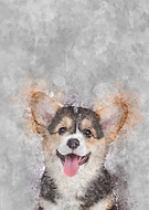 2019-12-21/362cf04487235009513f6185770ae2b1_bc0a0161fa3d90682847c4ea8e821ae0