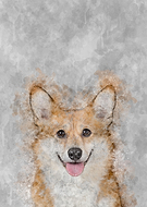 2019-12-21/ccb98dfff5ba2cffcf9d549573c1817f_7695b7c5bf263fca0ad879654d408126