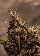 2019-12-23/12bcb184b7047d072da19d41d49f91d0_5163654d4653b46489e3a858da243518