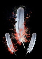 2019-12-23/598efe077f156fdae381df99ec65b3ba_2641c67ebb7051b8b58e228566769365