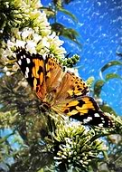 2019-12-23/d3914ea4b5c3e67715ce1d743f94c065_3a4799606db6147db017898136f3dcfa