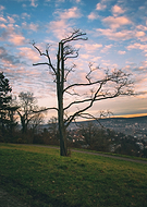 2019-12-24/31ede0f43072150446ae241e386b4da8_0494b29f3788c5fe6bcad61bd8cf2f28