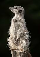 2019-12-27/141c3793b37563f63043de9677e71941_638996fc54e53b63536c113023eda9d2