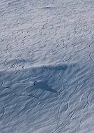 2019-12-27/44b64d505cd65931d39718dc42834f67_ed835a44ff4e81754daa71ce48037459