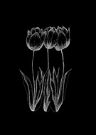 2019-12-30/b4fd9ff8b4047e5cefe4fe9ee901eca8_f851253000f4279619d9dc357be84e42