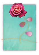 2020-01-07/667d9d8de000c2f56723e76d0b2a353d_71197518aea1d2f9bf5728539c05e285