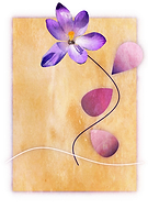 2020-01-07/cdb06fe7766be16fea790d3cbd5e5d90_b65d80ff0343aa36fd8a409c3dbc12d6