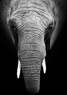 2020-01-10/2090664470f8931ef7eb17f290768c73_1ff43c84684e27625f93ffd08e31d3ab