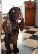 2020-01-13/26fdada4419eb89f9a23627166004a9a_4f11f94e3328d27798deac31d886b0ff