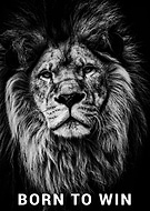 2020-01-13/a5ac2aef206df5ff0ae1dc670af7b0a2_c2eba264feda22aa5bb031b26c5327cd