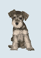 2020-01-13/e03158ba9ad3bf86bb24d4e9f2c19f8c_c9bbb07e89428967b1fbfefa41755766