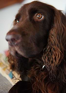 2020-01-13/f96a708e6ea98797969ba1bb2fa3e010_2980082a079e5daf3790127f37d398f1