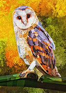 2020-01-14/94047cf2a887e388212935a52d0af4bf_4b0649047d1a17666f46b9085fd4a3d8