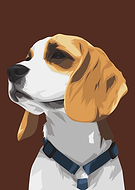 2020-01-14/d996452db47758afa10e3161b88d091b_14e692303338b87e13bccb022118c960