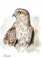 2020-01-16/1f7ae53d487e4756d23803b685c74811_07e4470fead0360edb43b918979687a0