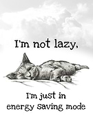 2020-01-19/5bb2be04e4bc4cf39d70f8aafe0fc6f8_eca3a841522e15550f71782306cd4d9e