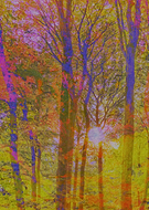 2020-01-27/c48543e5e9f4113d0e16e103b349a04d_879e83fefda6f8acf795c91c9f0735f4