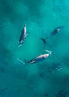 2020-01-28/9395249b6ef5c719c0c3d68ec825fee8_a78ac55c691c6c932de92bbda4f752fa