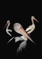 2020-01-28/b8f569486e61f5b7ee4871160419609f_dac26afd69dc451fd3ac8ac59f05feca