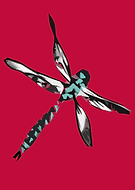 2020-01-29/8387d058644822e6c12faf8e0753e31d_99e64657d808bab9b197ea4703b1c795