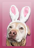 2020-02-04/1344ec6f0f40a155fc453310661496fc_8a26964c39fc65555854fbbdcdbb072b