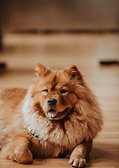 2020-02-05/28ecdb0e4f7e8fad3188d6f64868c61e_70e2d1a9728d34484d5f05abb897f2d5