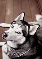 2020-02-05/327f05f97a3ad0c0bacf126cbed967d9_9de32bb25eb8882087a72628dfbff29c