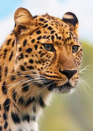 2020-02-05/edc05ee5f3b13bc0ac3fcfc58def32ea_a9916560dd9b6acfa749da65b73a9183