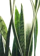 2020-02-07/088c48b44d8ad79c32fdd0aa5736d18d_915242fbdf1f4c125fed9149385c8e2d