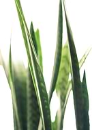 2020-02-07/74f8e7760cee0e51ad0382ec78f9b47f_7602ce65ce91dcfe4cc7307f2765a644