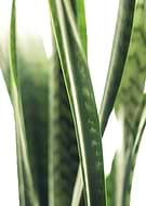 2020-02-07/7ed66470162ec914d59c6fc3cb0bf9dc_1c2f0fac8a55427a13a824513bf8e773