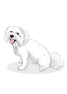 2020-02-08/c93cddecfa20abfd85b71f02c6fe311c_8990fcfc631fc4c57beba7bd870711ec