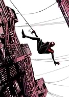 collection-preview-3