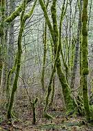 2020-02-13/dfabee5f5e684560f0f64326bb06b898_c82b0c39e8d1bb30102efb8ea0872642