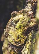 2020-02-14/2f4fa511fd1c9a6edc6aece1ba3f758c_bb8ae0f09733ef0d25f99d3402c4f712