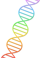 2020-02-16/3cda10d7c28873f8089e1656439f08bc_b0e34469a7dd00f5f3d0aa53f2b846d4