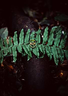 2020-02-17/79d7236c8d50384e9ea90cb1bdd0c1bf_0cbb79c0f2f1b3c04c18d4065d2c27c2