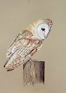 2020-02-17/820f03d5f56139e3ba3dbed88587ee1a_5788b407e1296e02f6b842331efa922b