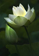 2020-02-20/19db18cd20ecab8abd95574cb9c40e0f_30e6afda27143f3def6848b1351f54e3