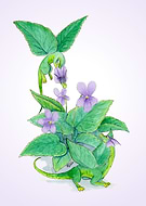 2020-02-20/3d4819148f67b48e59ff22cb2de8bde3_ee8bd26648f99065363b082bf0028e43